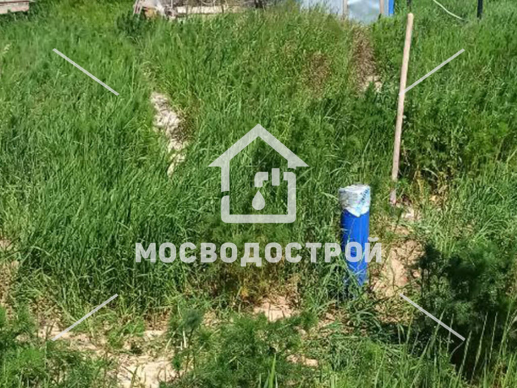 Photo 2023 06 15 02 03 20 копия3